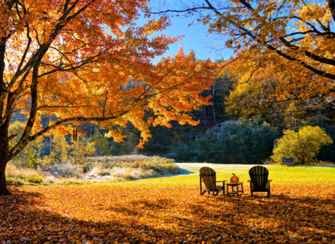 Herbst.png
